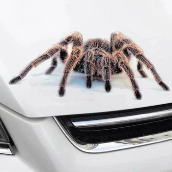  На едро на автомобилни стикери и отличителни знаци на паяк и скорпион живи животни етикети драскотини на авто ивица е украса на автомобилни аксесоари